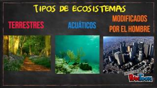 TIPOS DE ECOSISTEMA [upl. by Elacim531]