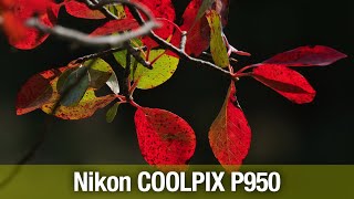 Nikon COOLPIX P950 09212023 [upl. by Savina]