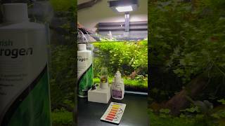 Nitrates are vital for planted tanks youtubeshorts aquarium fishtank plants [upl. by Tlevesoor49]