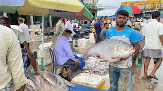 Chattogram Fishery Ghat walking tour July 2023  Morning walking Fishery Ghat chattogram [upl. by Notlimah]