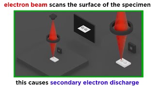 Electron Microscopy TEM and SEM [upl. by Amir]