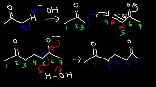 ROBINSON ANNULATION REACTION [upl. by Jarl]