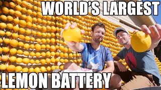 Worlds Largest Lemon Battery [upl. by Eelyma]