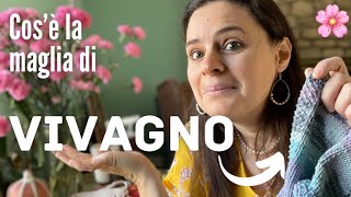 🌸VIVAGNO cosè e come si lavora a maglia [upl. by Buschi108]