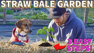 How To Condition STRAW BALES For GROWING VEGGIES From Start To Finish [upl. by Yablon]