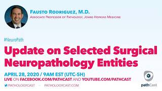 Update on Selected Surgical Neuropathology Entities  Dr Rodriguez Hopkins NEUROPATH [upl. by Tayyebeb]