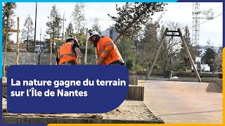 La nature gagne du terrain sur l’Île de Nantes [upl. by Gruchot]