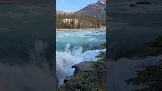 Viewpoint on Icefield Parkway  Alberta Canada [upl. by Nnayelsel758]