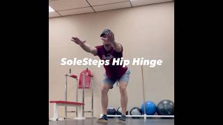 SoleSteps Hip Hinge trainlikethepros [upl. by Espy]