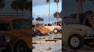 Local Volks  Dunedin Causeway Beach  TBT VW Hangout 882024 • Florida [upl. by Fuhrman]