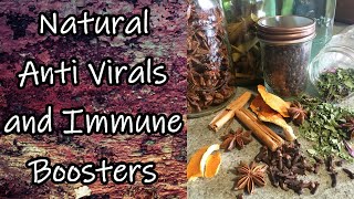 Natural Antivirals and Immune Boosters [upl. by Rosaline239]