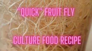 Quick Fruit Fly Culture Food Recipe [upl. by Blaze]