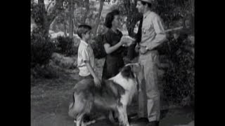 Lassie  Episode 36  quotThe Rivalquot Season 2 10  11131955 [upl. by Ambrose]