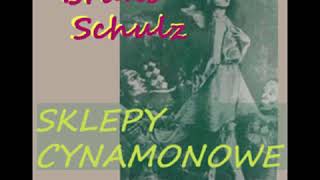 Sklepy cynamonowe  Bruno Schulz Audiobook PL [upl. by Mord]