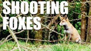 Fieldsports Britain  Shooting foxes [upl. by Livy]