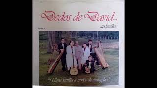 Dedos de David  A Família  LP Completo [upl. by Chlori]