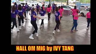 Hall Om Mig line dance [upl. by Ritter]