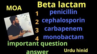 penicillin  cephalosporin carbapenem monobactam  beta lactam mechanism of action MOA in Urdu [upl. by Buyers778]