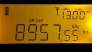 PL880 vs PL660 MWampSW AMSSB signals [upl. by Pul438]