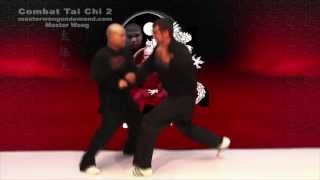 Tai chi combat tai chi chuan fight style use chen tai chi – lessons 3 [upl. by Llenor]