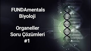 Organeller Soru Çözümleri 1 [upl. by Milinda]