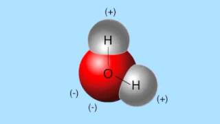 hydrogen bonds [upl. by Eselahc919]