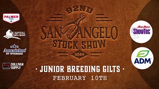 February 10  Junior Breeeding Gilts [upl. by Harwin777]