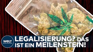 CANNABIS Kiffer jubeln Das ist ein Meilenstein für eine Legalisierung in Deutschland I WELT News [upl. by Orlina]