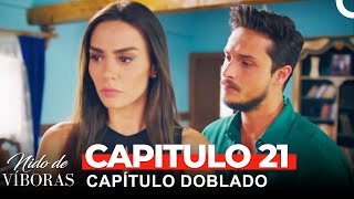 Nido De Víboras Capitulo 21 Dobladas en Español [upl. by Eednil]