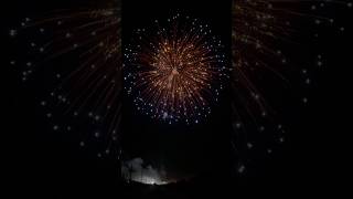 8quot inch yungfengdisplayshells fireworks 2024 永丰8寸菊先青红闪带金闪蕊升尾 [upl. by Fleurette377]