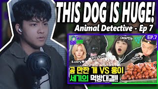 Choi Yena  Animal Detective Episode 7 Bugatti vs Woongei who will win the food fight  REACTION [upl. by Spratt558]