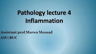 علم الأمراض  الالتهاب  pathology inflammation  Lec 4 [upl. by Trudie]