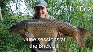 June sessions at the Brick pit 017 [upl. by Yentrok]