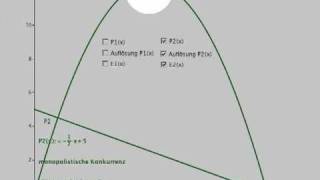 Kosten und Preistheorie III Preisfunktion und Erlösfunktion [upl. by Obnukotalo]