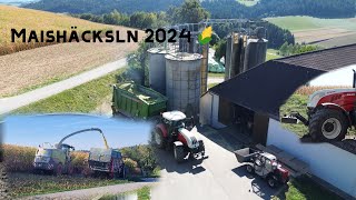 Maishäcksln in Hochsilos 🌽🚜  Hummer Heiligenberg  Gumpenbergeragrar [upl. by Becki]