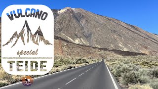 TEIDE 🌋 Alpaca Speciale Vulcano [upl. by Torrlow]