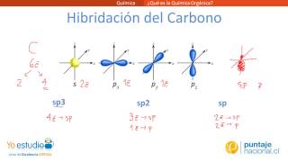 ¿Qué es la Química Orgánica [upl. by Ozne]