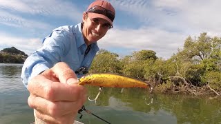 Tips for catching Mangrove Jacks around the mangroves [upl. by Jolee]