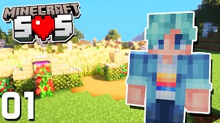 The Best BRAND NEW SMP  Minecraft SOS  Ep1 [upl. by Ermine]