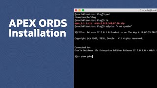 APEX ORDS Installation [upl. by Holzman]