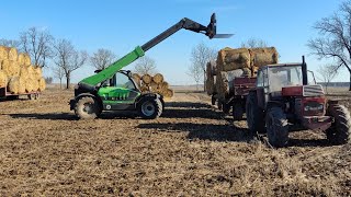 Obowiązki codziennie w Gospodarstwie Odc1🌽🌽🌽fitfarmer [upl. by Ivzt292]