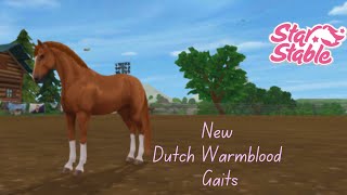 New Dutch Warmblood Gaits  Gaits  SSO  Grokett Twins [upl. by Swithbert871]