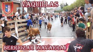 Vaquillas  Berriozar Navarra 392023 [upl. by Asilehc]