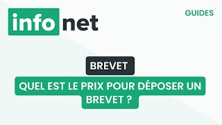 Quel est le prix pour déposer un brevet  définition aide lexique tuto explication [upl. by Ornie]