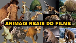 Animais Reais do Filme A Era do Gelo  As Espécies Verdadeiras que Inspiraram os Personagens [upl. by Ahsead]