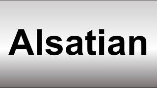 How to Pronounce Alsatian [upl. by Goodrich]