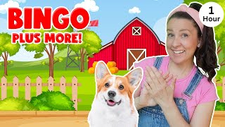 Bingo  More Nursery Rhymes amp Kids Songs  Ms Rachel [upl. by Aicatsue]