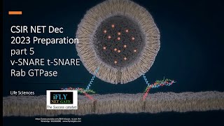 CSIR NET DEC 2023 part 5 t SNARE v SNARE Rab GTPase proteins Membrane fusion GATE 2024 BT XL CUETPG [upl. by Selrac]