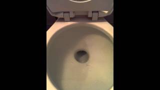 How to unclog a toilet without a plunger [upl. by Nyllij]