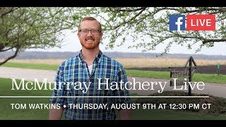 McMurray Hatchery Facebook Live Tom Watkins Home Coops and Flock [upl. by Ellicott]